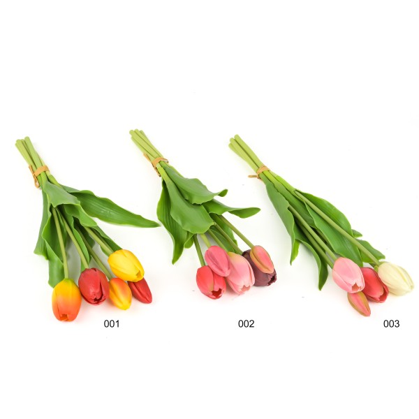 Tulpe Sally Arnhem , 36 cm