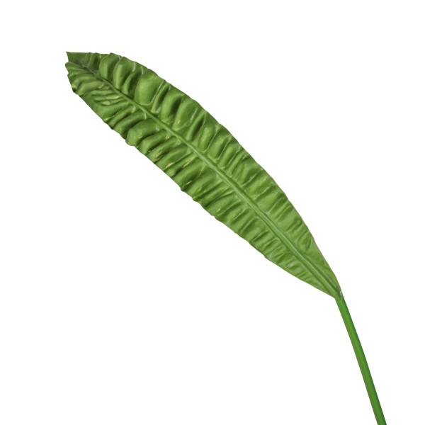 Asplenium-Blatt, 93cm, grün