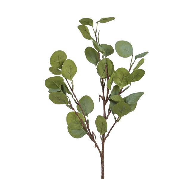 Eucalyptus, 64 cm, grün