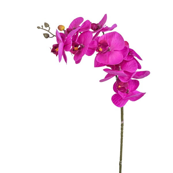 Phalaenopsis Bora , fuchsia 77 cm