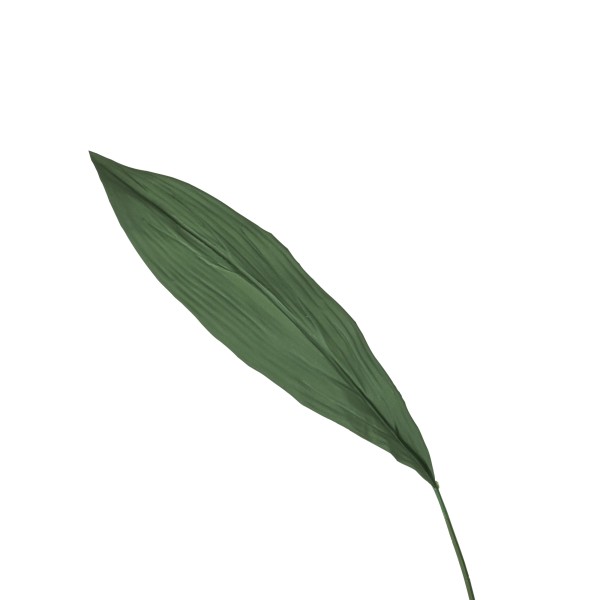 Aspidistra Blatt, Eco-Collection 81cm, grün