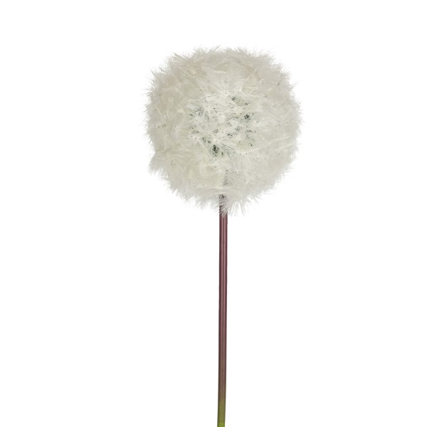 Pusteblume, weiß, 80cmx13cm Dia.