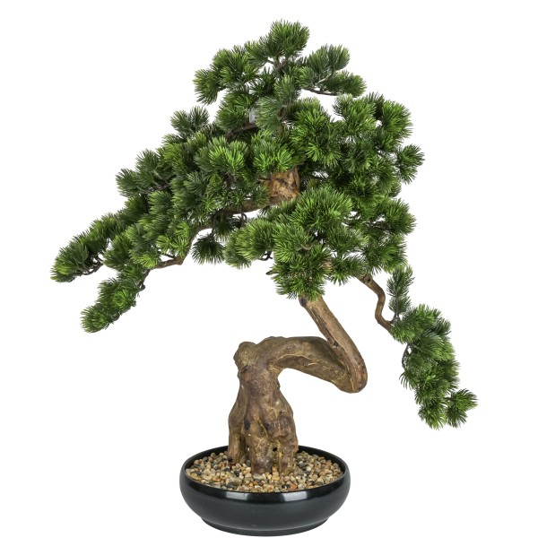 Bonsai getopft, 76 cm