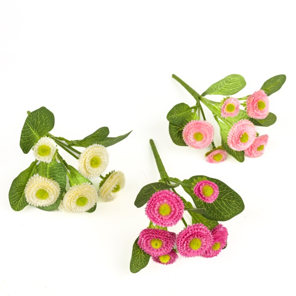 Bellis-Busch x 6, 20 cm