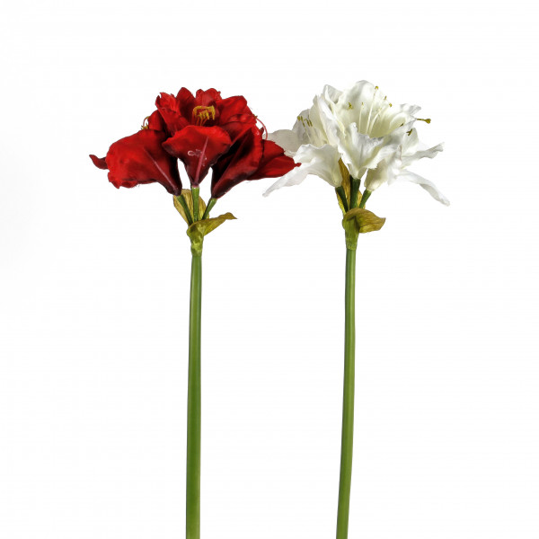 Amaryllis x 4, 63 cm