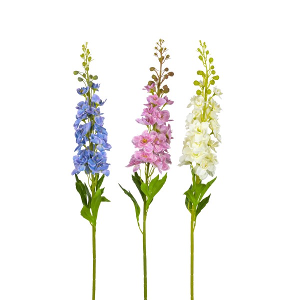 Delphinium Roland , 87 cm