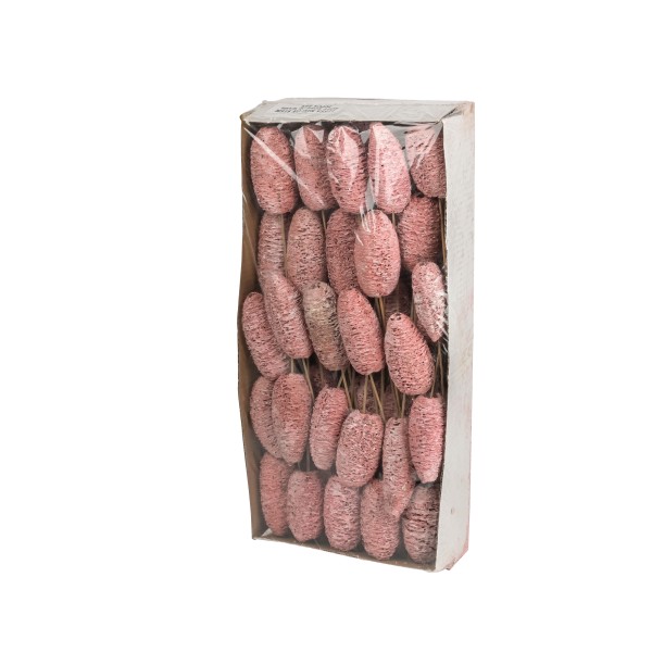 Luffa mini am Stiel (Fensterkarton x50 Stück)soft rosa