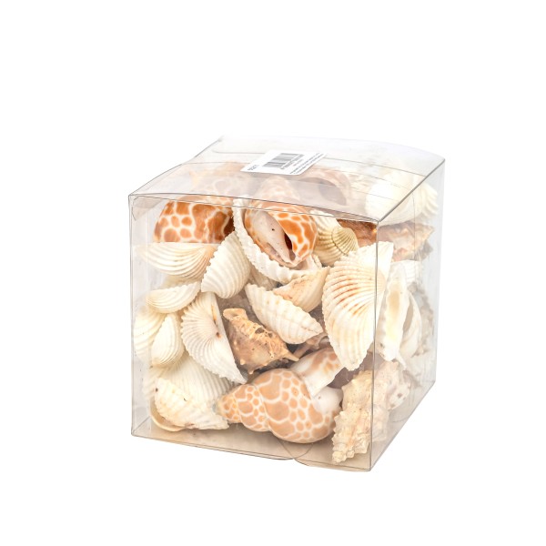 Mix Muscheln PVC Box 500 gr.