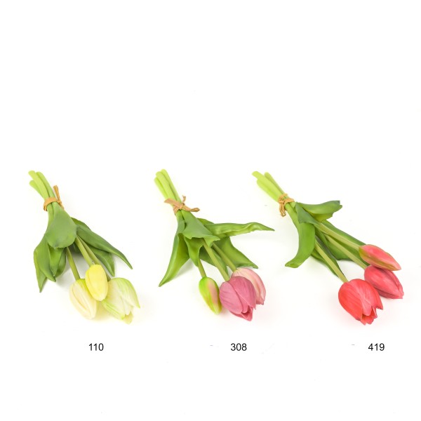 Tulpe Sally Deventer x 3, 25 cm